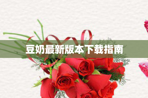 豆奶最新版本下载指南图片