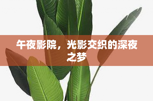 光影交织的深夜之梦图片