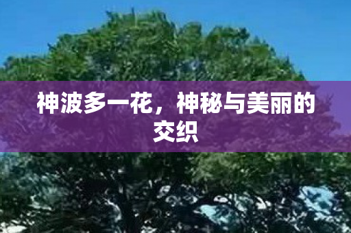 神秘与美丽的交织图片