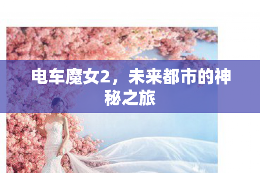 未来都市的神秘之旅图片