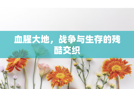 战争与生存的残酷交织图片