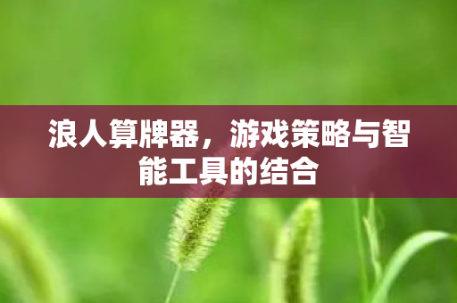 游戏策略与智能工具的结合图片