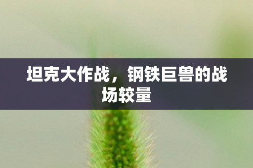 钢铁巨兽的战场较量图片