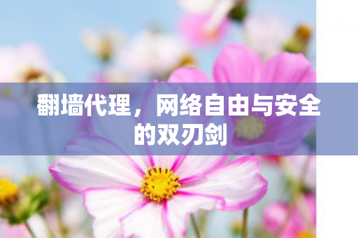 网络自由与安全的双刃剑图片