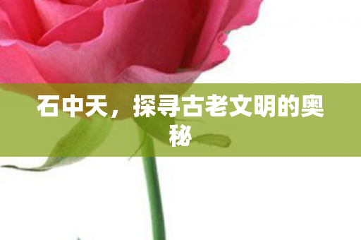 探寻古老文明的奥秘图片