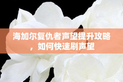 海加尔复仇者声望提升攻略图片