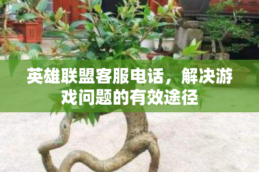 解决游戏问题的有效途径图片