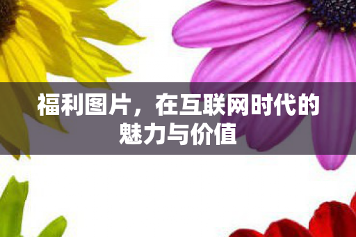 在互联网时代的魅力与价值图片