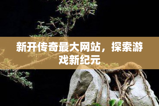 新开传奇最大网站图片