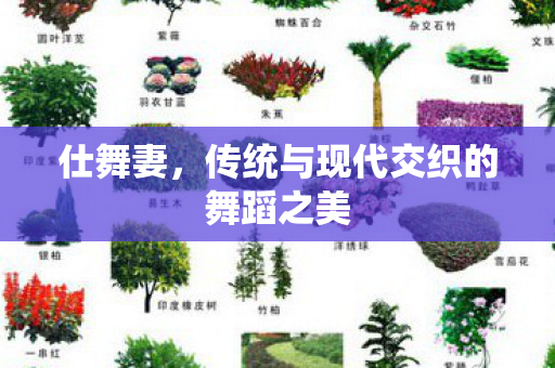 传统与现代交织的舞蹈之美图片
