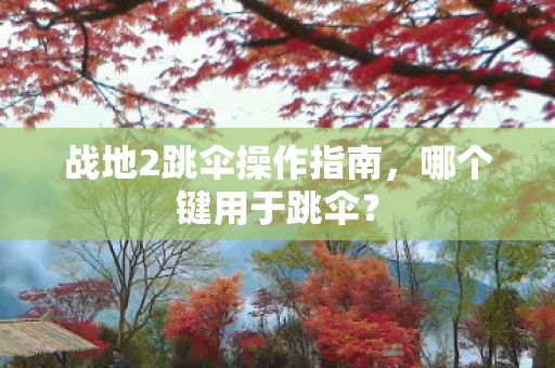 战地2跳伞操作指南图片