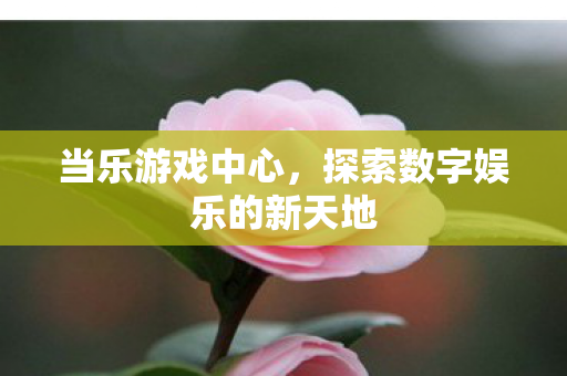 探索数字娱乐的新天地图片