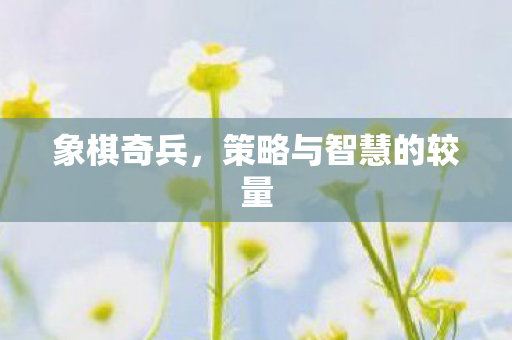 策略与智慧的较量图片