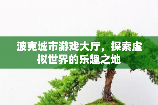 探索虚拟世界的乐趣之地图片