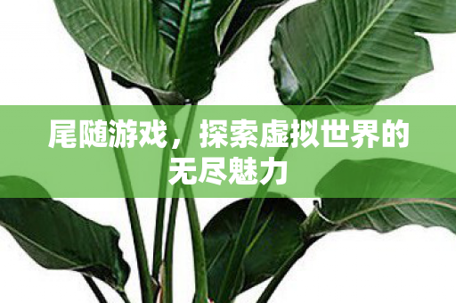 探索虚拟世界的无尽魅力图片