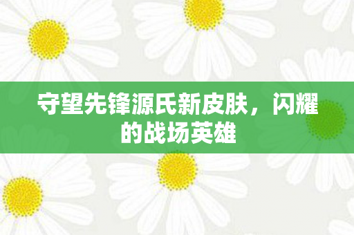 守望先锋源氏新皮肤图片
