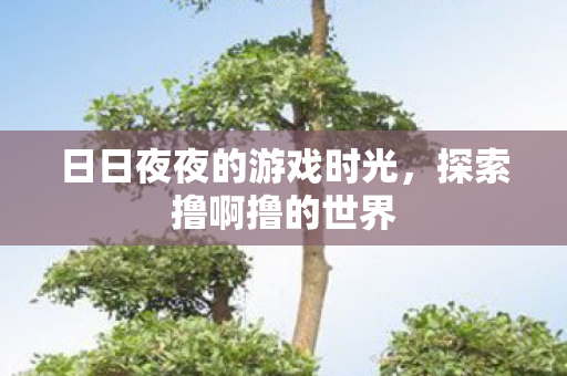 日日夜夜的游戏时光图片