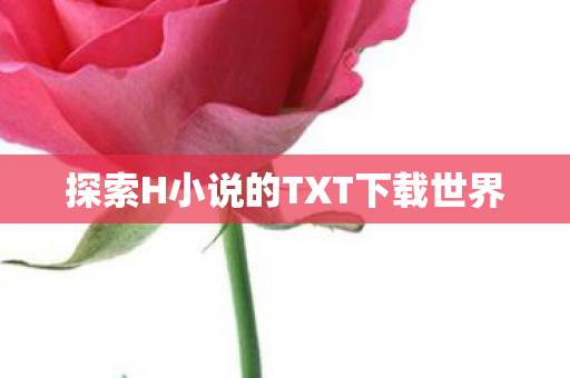 探索H小说的TXT下载世界图片