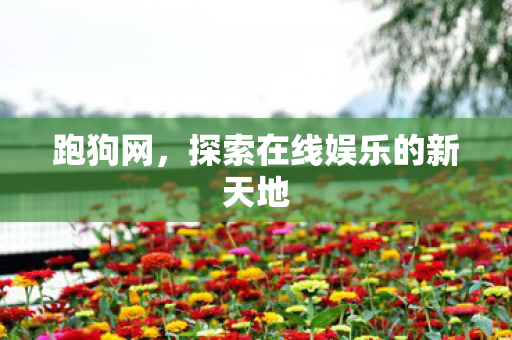 探索在线娱乐的新天地图片