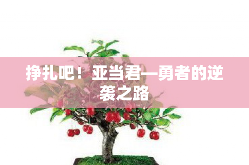 勇者的逆袭之路图片