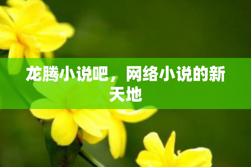 网络小说的新天地图片