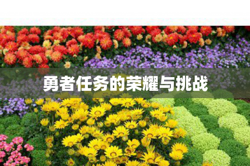 勇者任务的荣耀与挑战图片