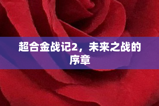 未来之战的序章图片
