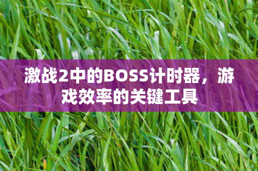 激战2中的BOSS计时器图片