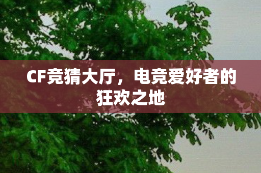 电竞爱好者的狂欢之地图片