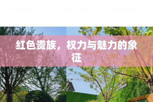 权力与魅力的象征图片