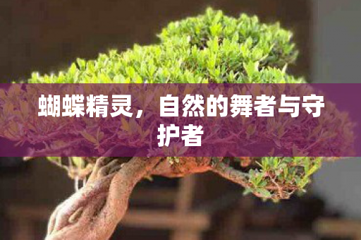 自然的舞者与守护者图片