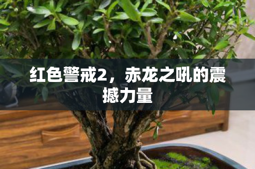 赤龙之吼的震撼力量图片