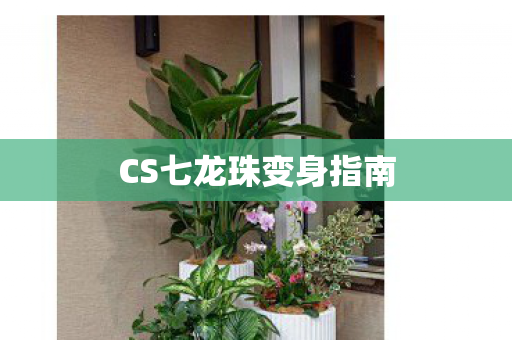 CS七龙珠变身指南图片