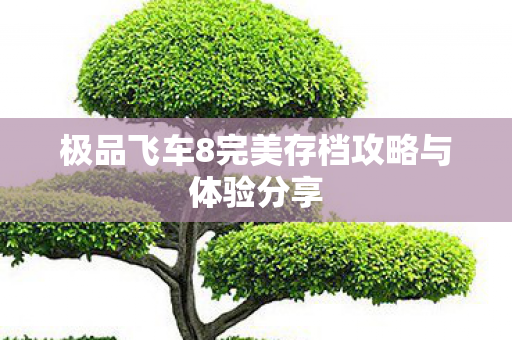 极品飞车8完美存档攻略与体验分享图片