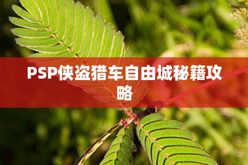 PSP侠盗猎车自由城秘籍攻略图片