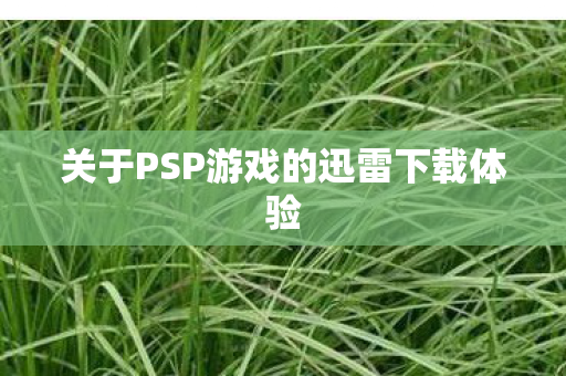 关于PSP游戏的迅雷下载体验图片