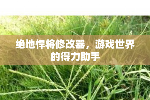 游戏世界的得力助手图片