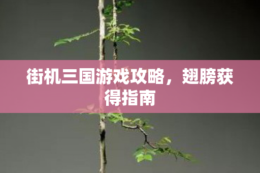 街机三国游戏攻略图片