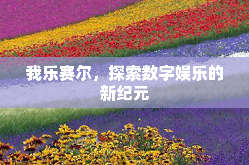 探索数字娱乐的新纪元图片