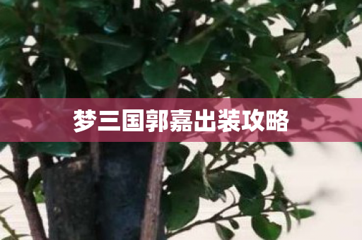 梦三国郭嘉出装攻略图片