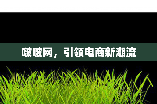引领电商新潮流图片