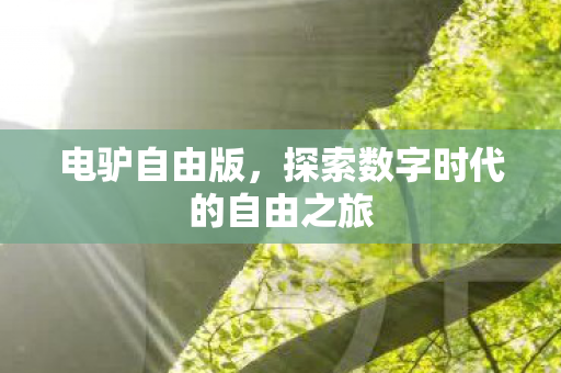 探索数字时代的自由之旅图片
