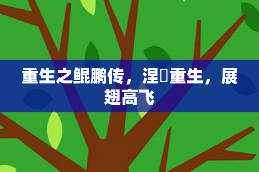 重生之鲲鹏传图片