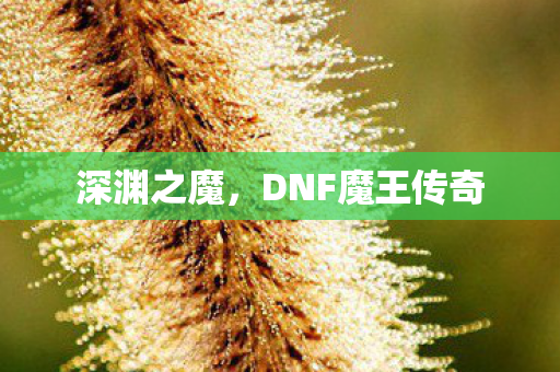DNF魔王传奇图片