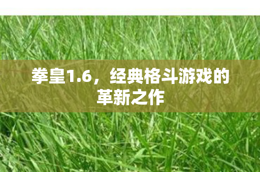 经典格斗游戏的革新之作图片