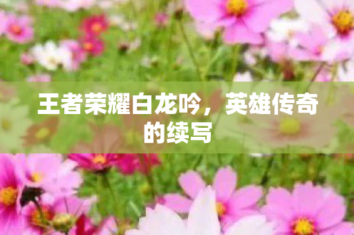 王者荣耀白龙吟图片