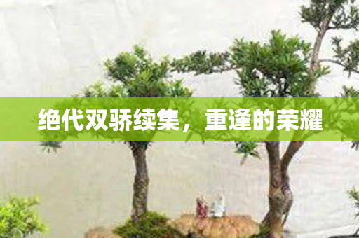 绝代双骄续集图片