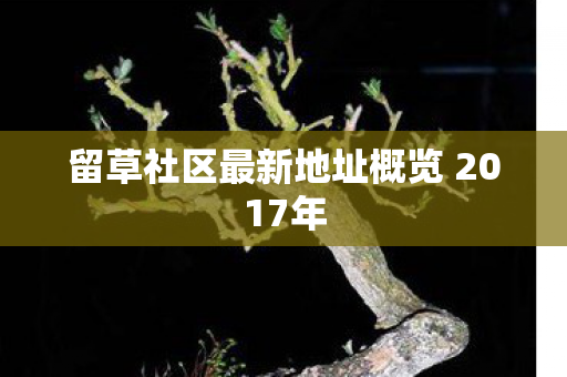 留草社区最新地址概览 2017年图片