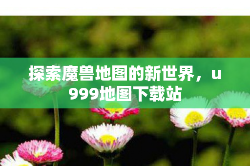 探索魔兽地图的新世界图片