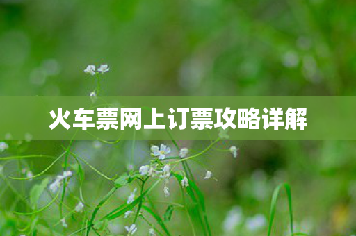 火车票网上订票攻略详解图片